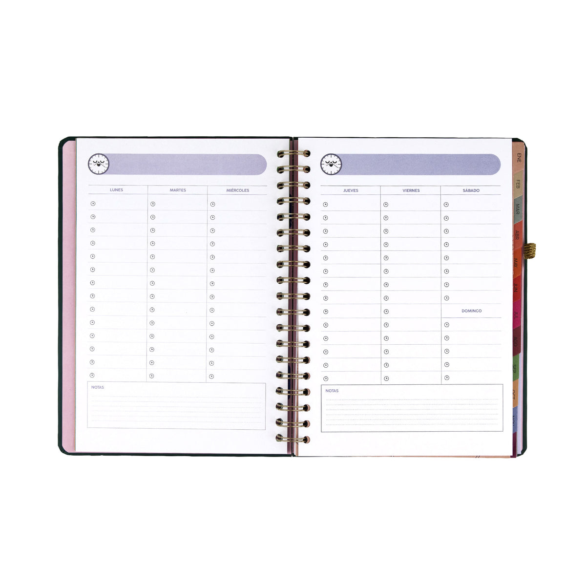 Agenda Mr. Wonderful En Marcha 2027