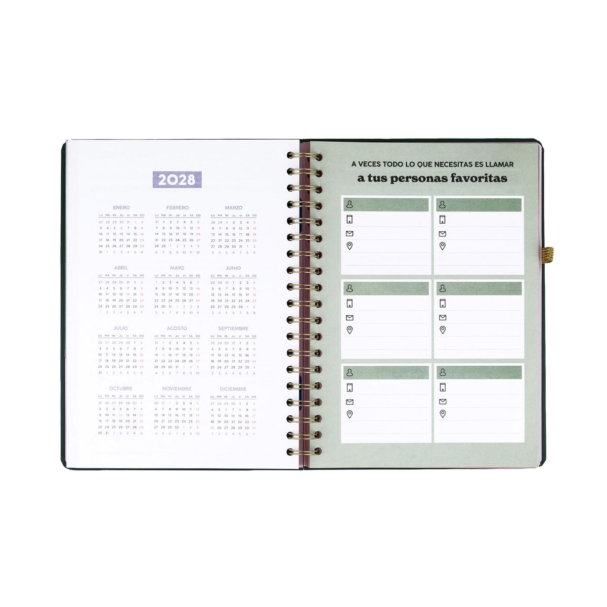 Agenda semanal grande con pegatinas | Mr. Wonderful 
