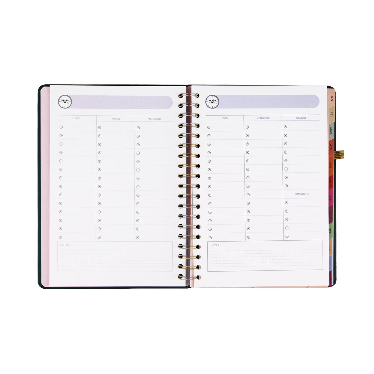 Agenda 2027 grand format Mr. Wonderful