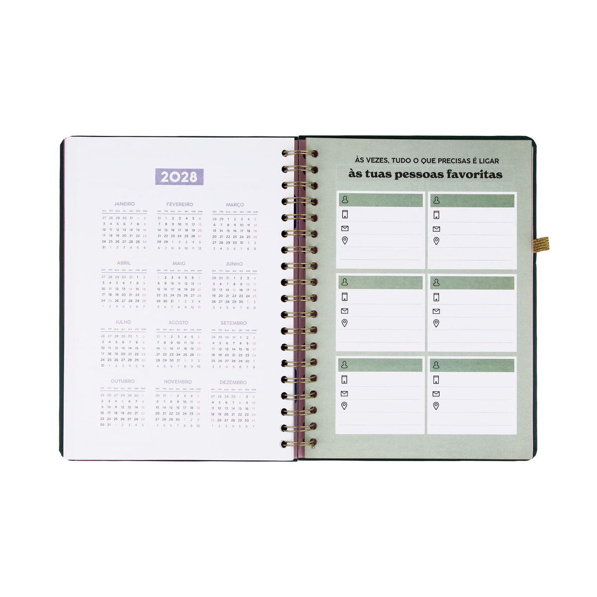 Agenda 2027 com autocolantes | Mr. Wonderful 