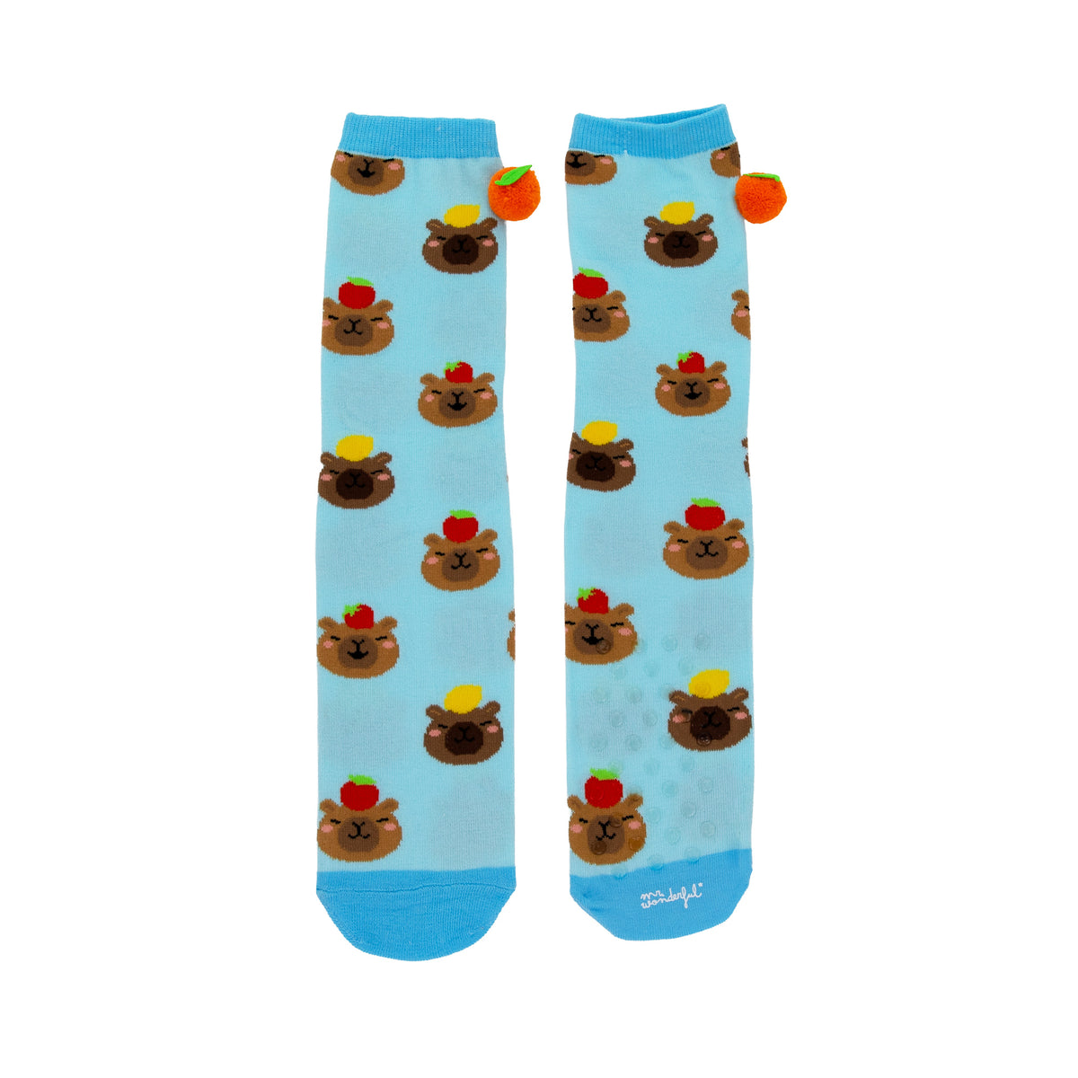 Calcetines divertidos de capibara un regalo original de Mr. Wonderful